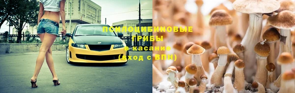 экстази Заводоуковск