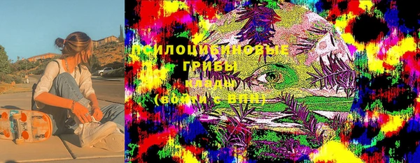 экстази Заводоуковск