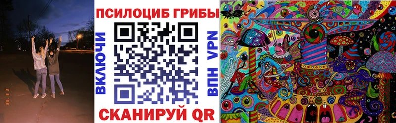 hydra рабочий сайт  Новомосковск  Галлюциногенные грибы Magic Shrooms 